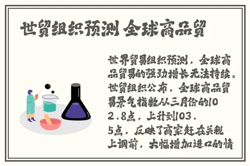 成人区精品一区二区婷婷